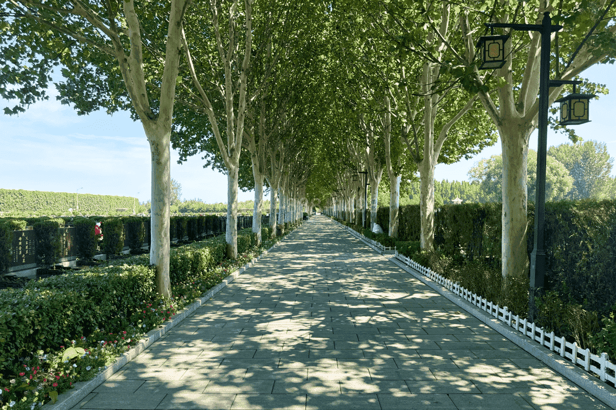 中华永久陵园怎么样