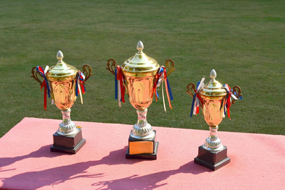 中华永久陵园荣誉